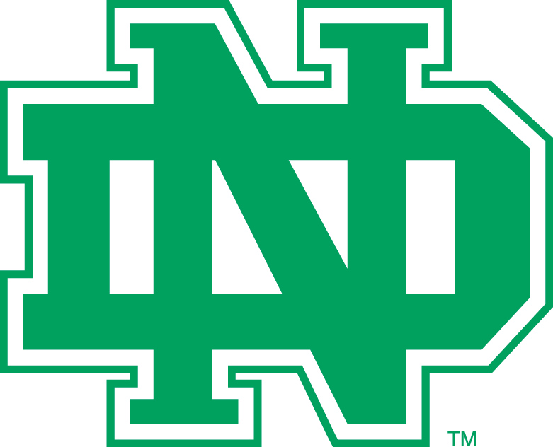 North Dakota Fighting Hawks 1974-2001 Alternate Logo iron on paper